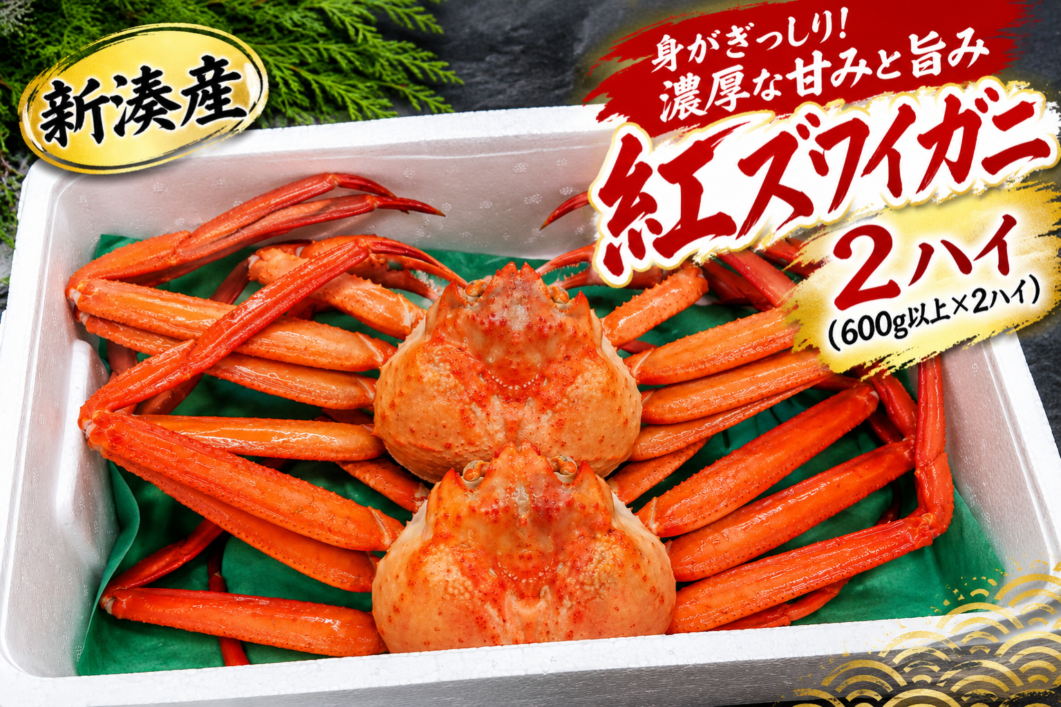 ChatGPT Image 2026年9月16日 08_22_26.png